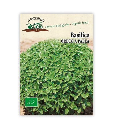 Basilico Greco a palla - Italian Sprout