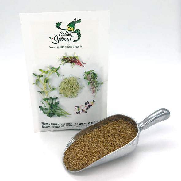 Sprouting seeds - Alfalfa Demetra