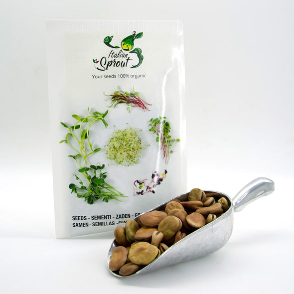 Microgreen seeds - Fava bean Giunone