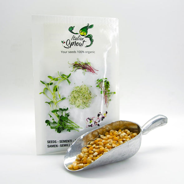 Microgreen seeds - Popcorn Flash