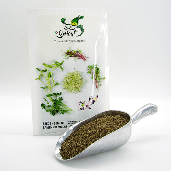 Microgreen seeds - Parsley Green Musk