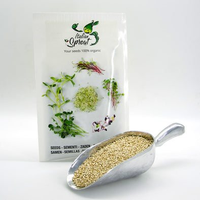 Sprouting seeds - Quinoa Rio