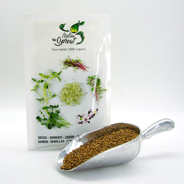 Microgreen seeds - White mustard Yeti