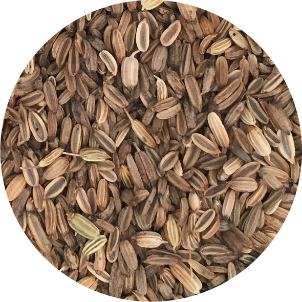 Microgreen seeds - Fennel Napo