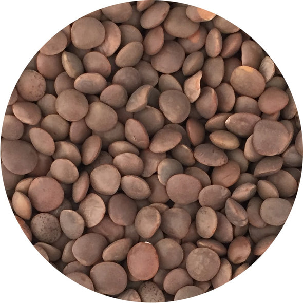 Microgreen seeds - Red lentils Maranello