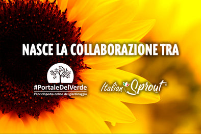 Portale del Verde festeggia i 10 anni in collaborazione con Italian Sprout