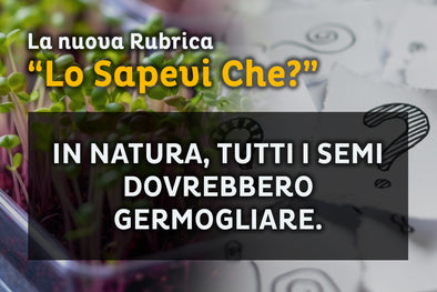 "Lo Sapevi Che?"