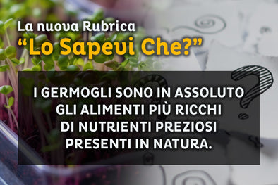 "Lo Sapevi Che?"
