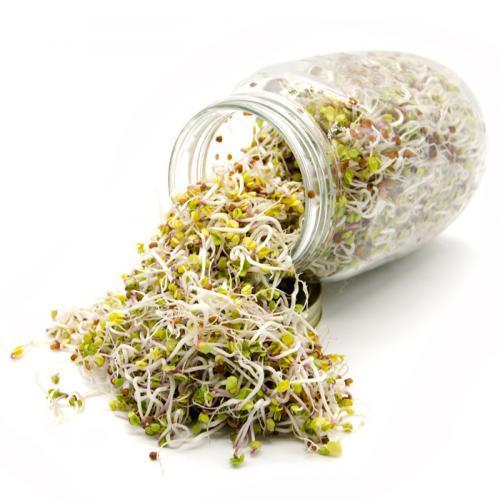 Articoli per germogli e microgreens