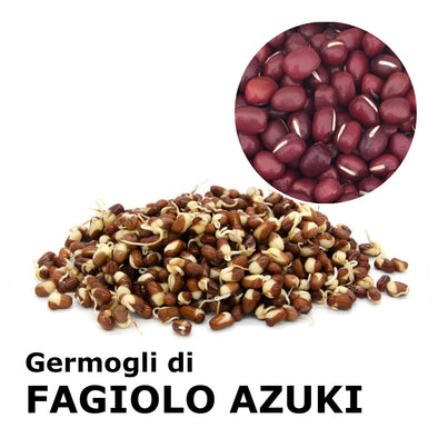 Semi da germoglio - Fagiolo Azuki Doraemon