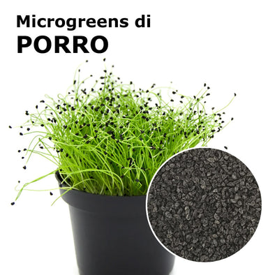 Semi per microgreens - Porro Matteo