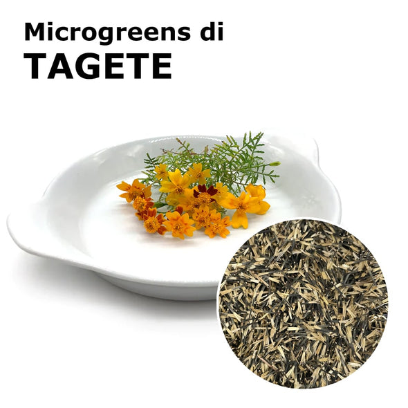 Semi per microgreens - Tagete Baobab