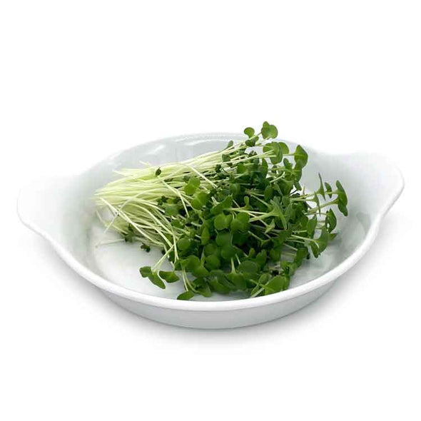 Microgreen seeds - Rapeseed Lillo