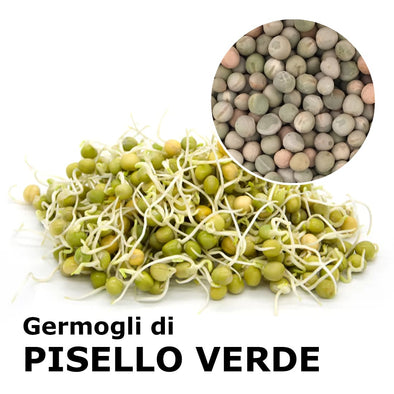 Semi da germoglio - Pisello verde Viridios