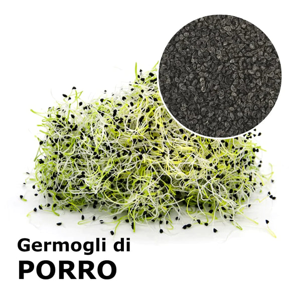 Semi da germoglio - Porro Matteo