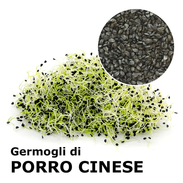 Semi da germoglio - Porro cinese Pucca