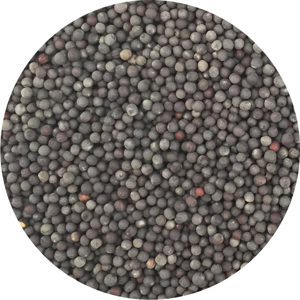 Semi per microgreens - Tatsoi Sampei