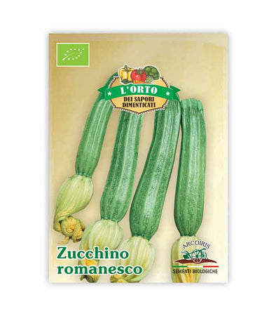 Semi da orto bio - Zucchino Romanesco