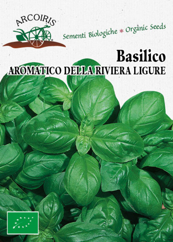 Bio vegetable garden seeds - Aromatic basil of the Ligurian Riviera