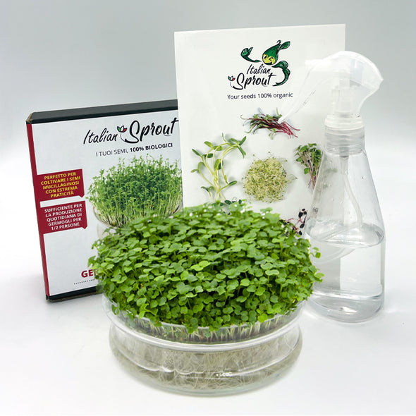 Kit germinazione Mida