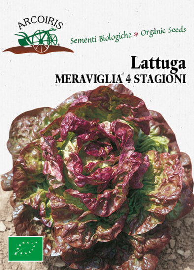 Semi da orto bio - Lattuga Meraviglia delle 4 stagioni