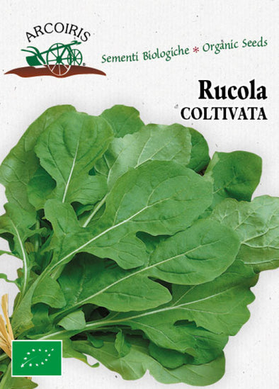 Semi da orto bio - Rucola Coltivata