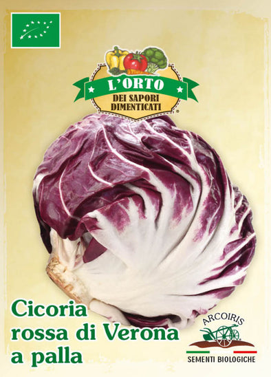 Semi da orto - Cicoria Rossa di Verona a Palla