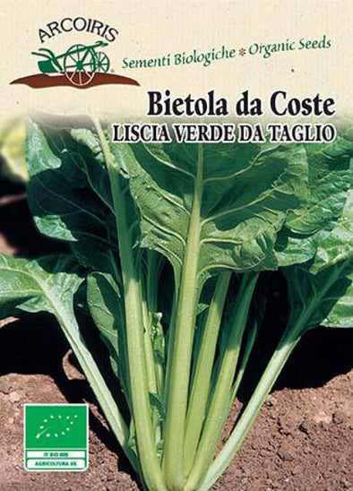 Semi da orto bio - Bietola da coste Liscia verde da taglio