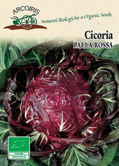 Semi da orto bio - Cicoria Rossa a palla 3