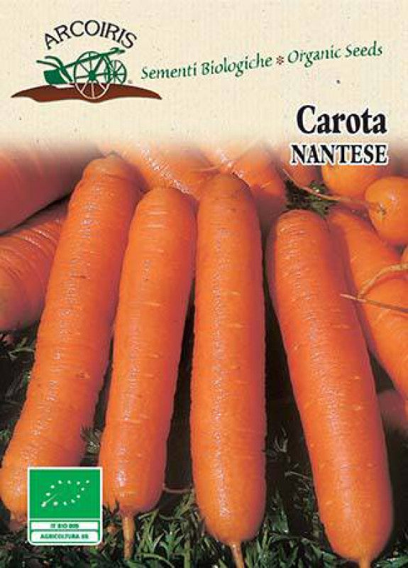 Bio vegetable garden seeds - Nantese carrot of Chioggia 2 Sel. Clodia