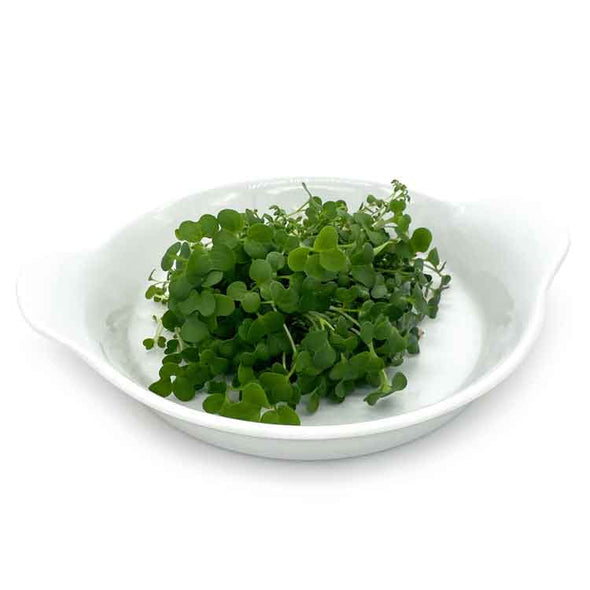 Microgreen seeds - Tasty mix (mucilaginosus) Bubble