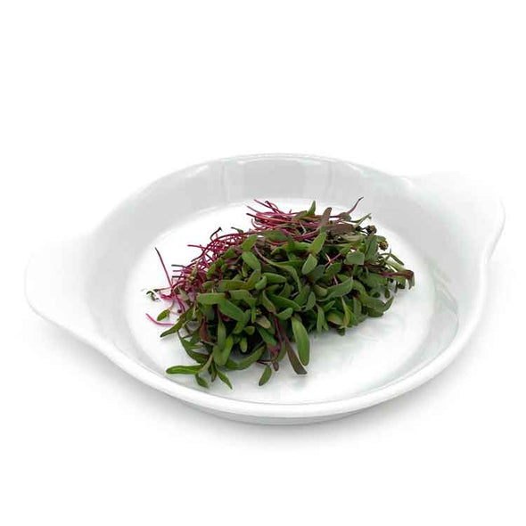 Semi per microgreens - Mix di biete Tea