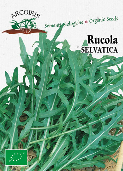 Bio vegetable vegetable seeds - Wild rocket