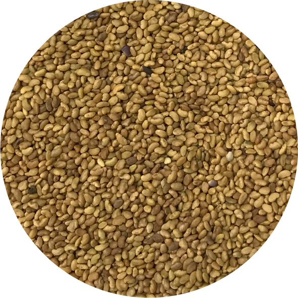 Microgreen seeds - Alfalfa Demetra