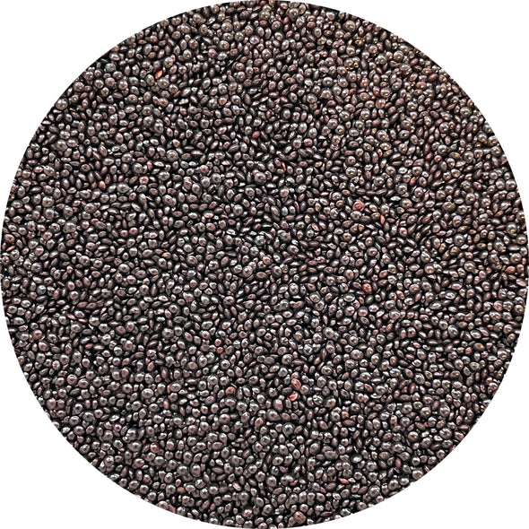 Microgreen seeds - Red Amaranth Lakota