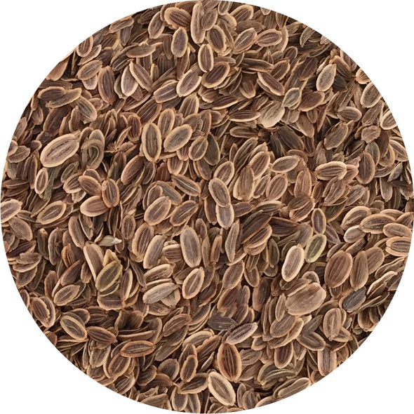 Sprouting seeds - Dill Mistral