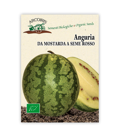 Anguria da mostarda a seme grosso - Italian Sprout