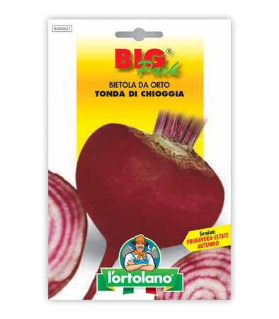Garden seeds - CHIOGGIA Round Green Bill