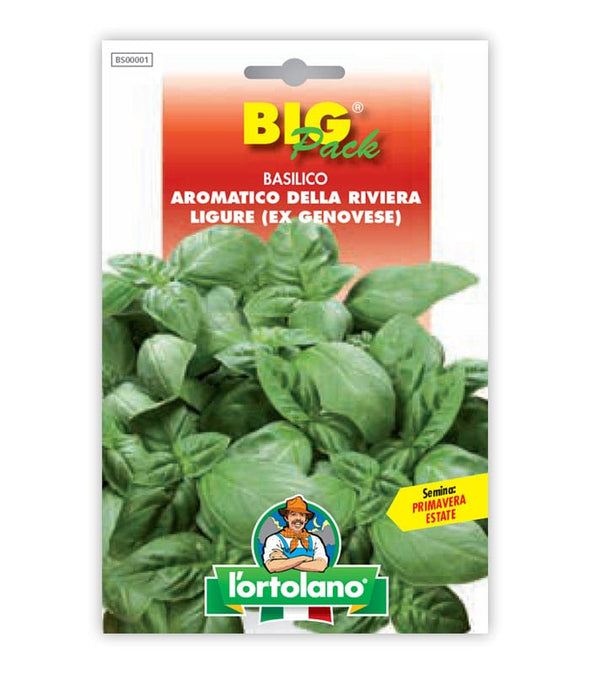 Basil Aromatico della Riviera Ligure (ex genovese)