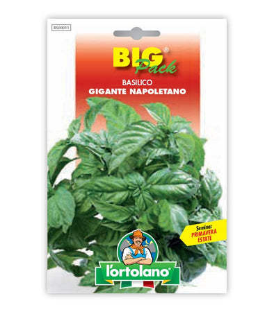 Orto seeds - Neapolitan giant basil
