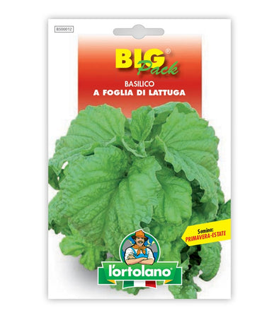 Garden seeds - Lattuga leaf basil