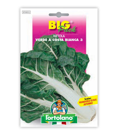 Orto seeds - green coast chard to Costa Bianca 3