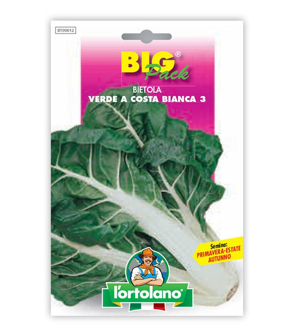 Sweet chard da Coste Verde a Costa Bianca 3