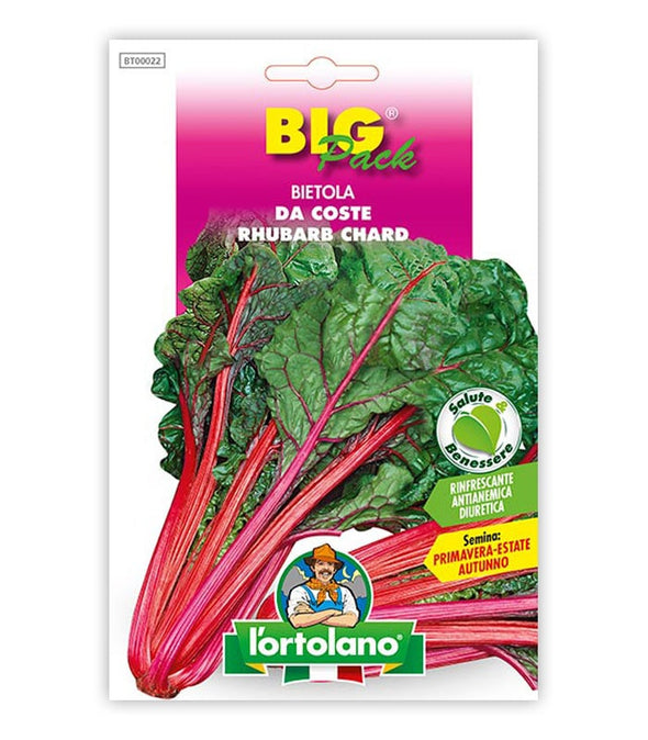 Semi da orto - Bietola da Coste Rhubarb Chard