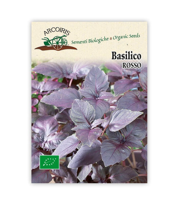 Basilico Rosso - Italian Sprout