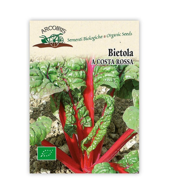 Bietola a Costa Rossa - Italian Sprout