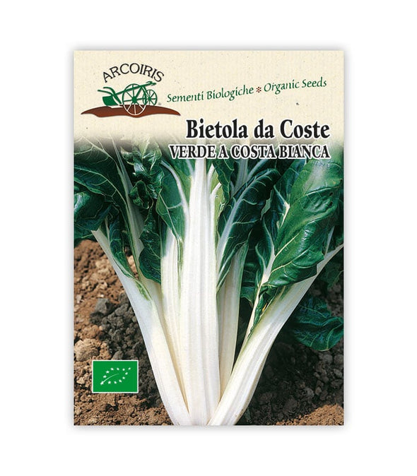 Bietola da coste Verde a costa bianca - Italian Sprout