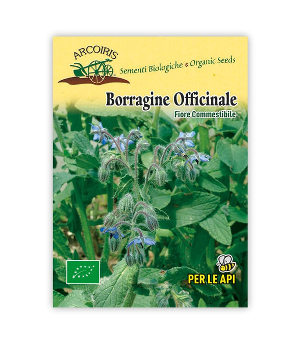 Borragine - Italian Sprout