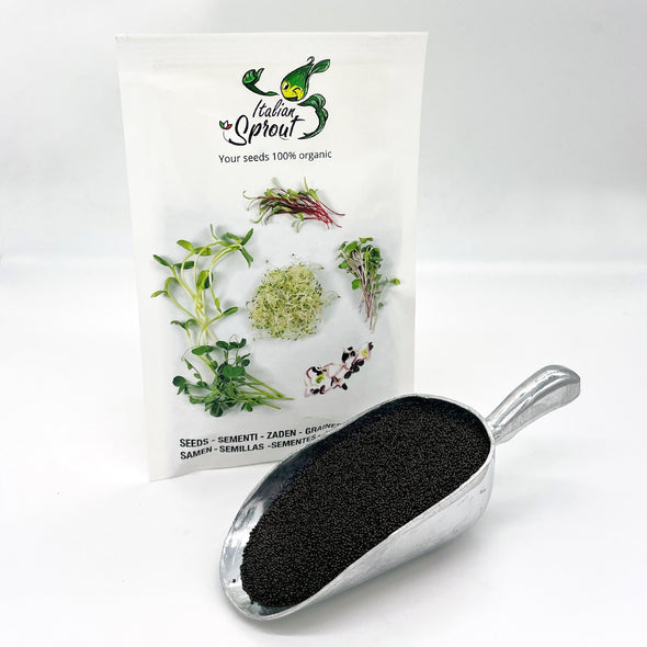 Microgreen seeds - Red Amaranth Lakota