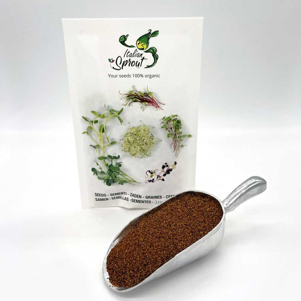 Microgreen seeds - Watercress Persia